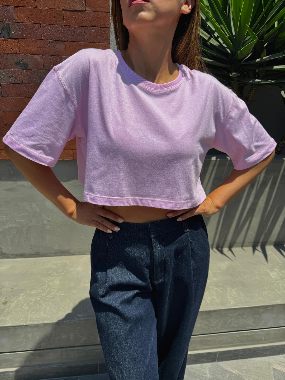 Camiseta Crop Malena