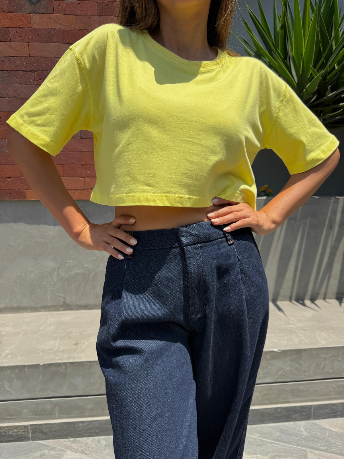 Camiseta Crop Malena